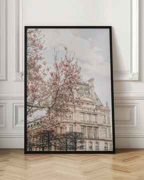 Magnoliaparis Ratioiso Poster