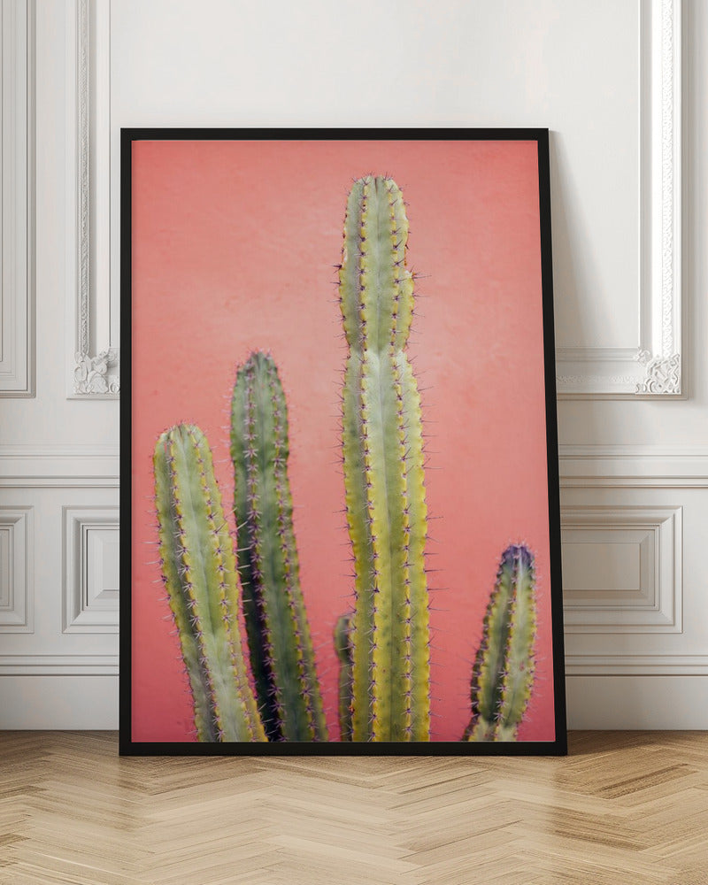 Pretty Pink Cactus Marrakech Poster