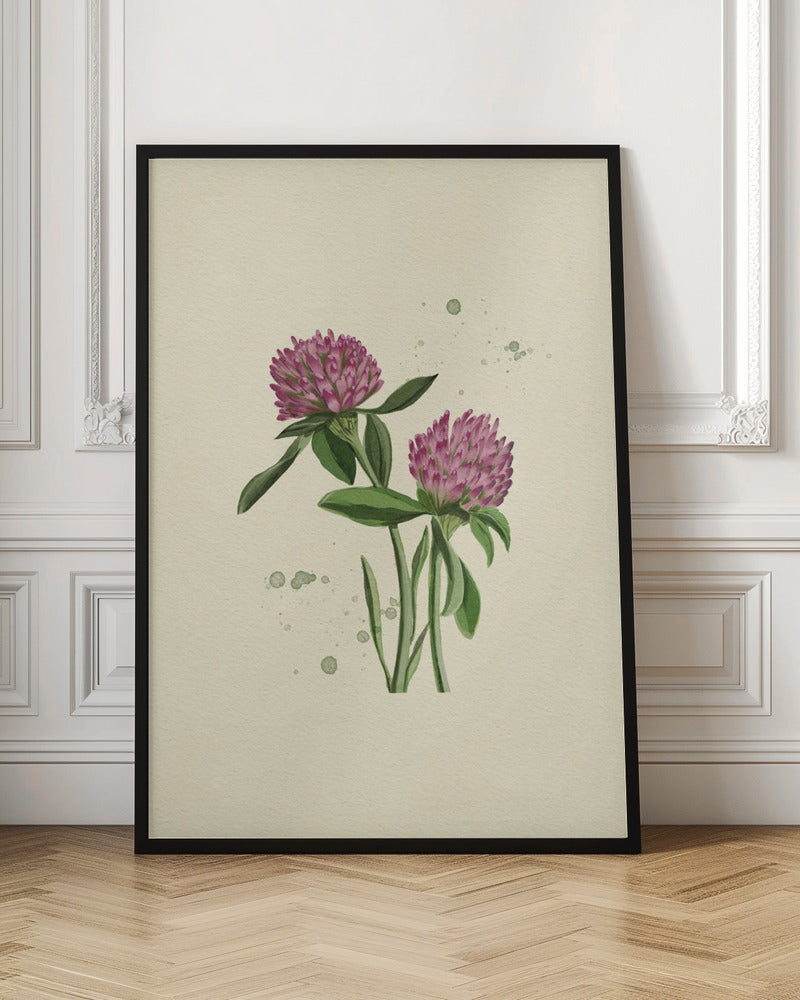 Red Clover Poster