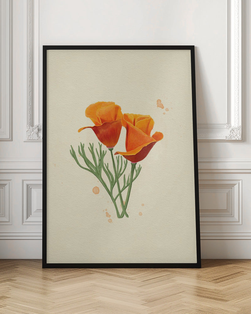 California Poppy Poster