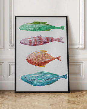 Colorful Fish Poster