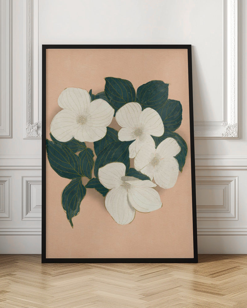 Dogwoods Poster