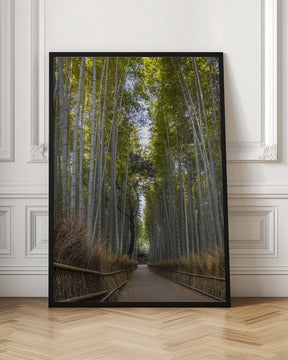 Mighty Arashiyama bamboo forest Poster