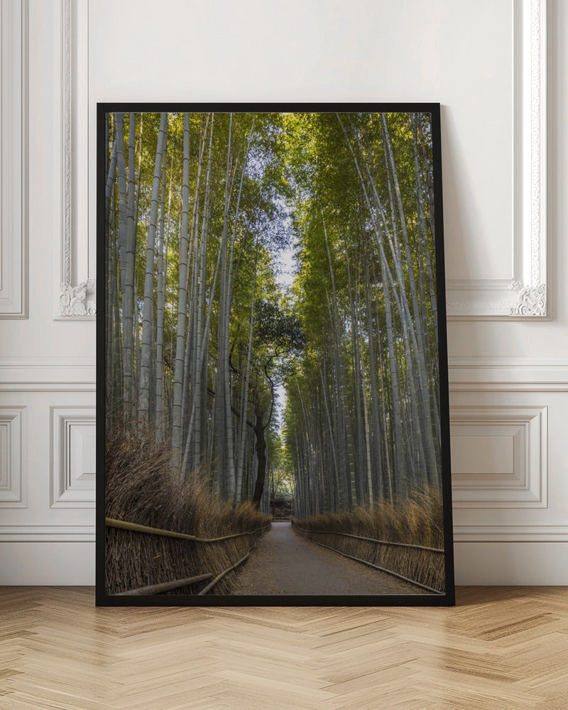 Mighty Arashiyama bamboo forest Poster