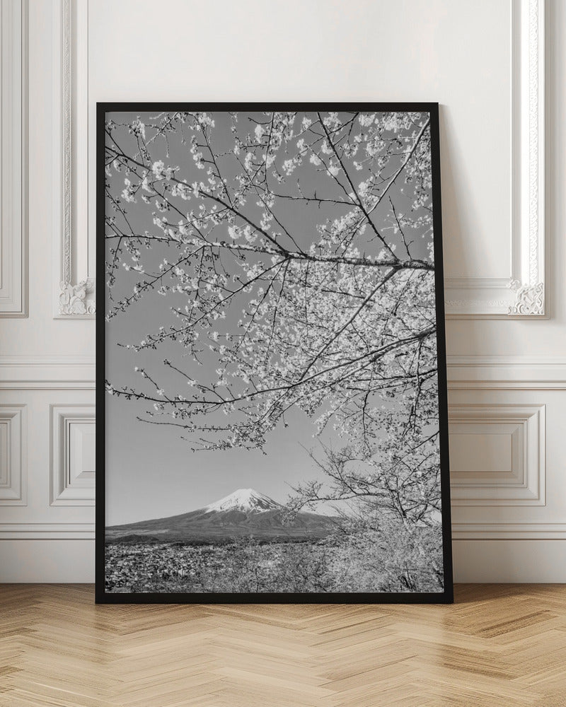 Charming view of Mount Fuji with cherry blossoms - monochrome Poster