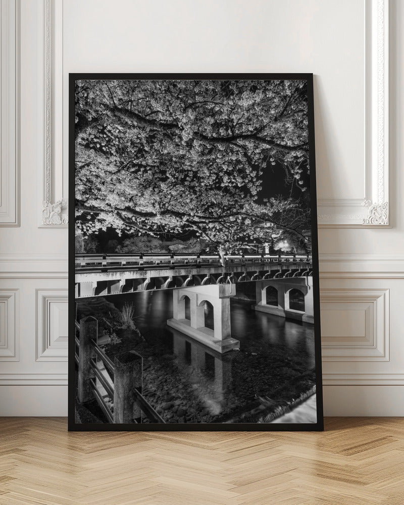 Charming Nakabashi Bridge in the evening - monochrome Poster