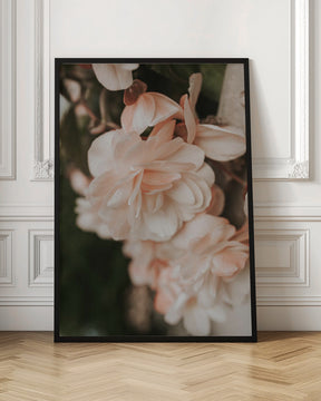 Pastel Flowers Poster