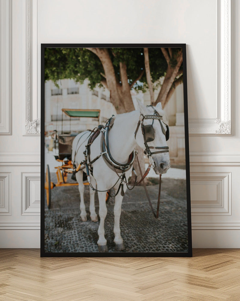 Sevilla White Horse Poster