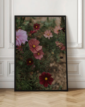 Pink Coral Flowers Poster