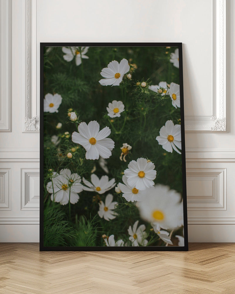 White Flowers Poster