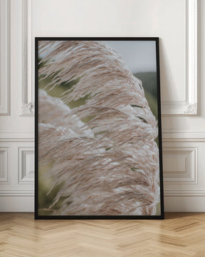 Beach Pampas Poster