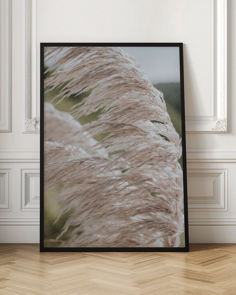 Beach Pampas Poster