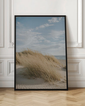 Summer Dunes Poster