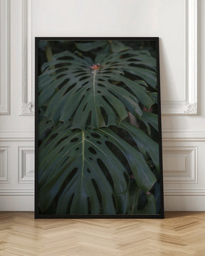 Monstera Poster