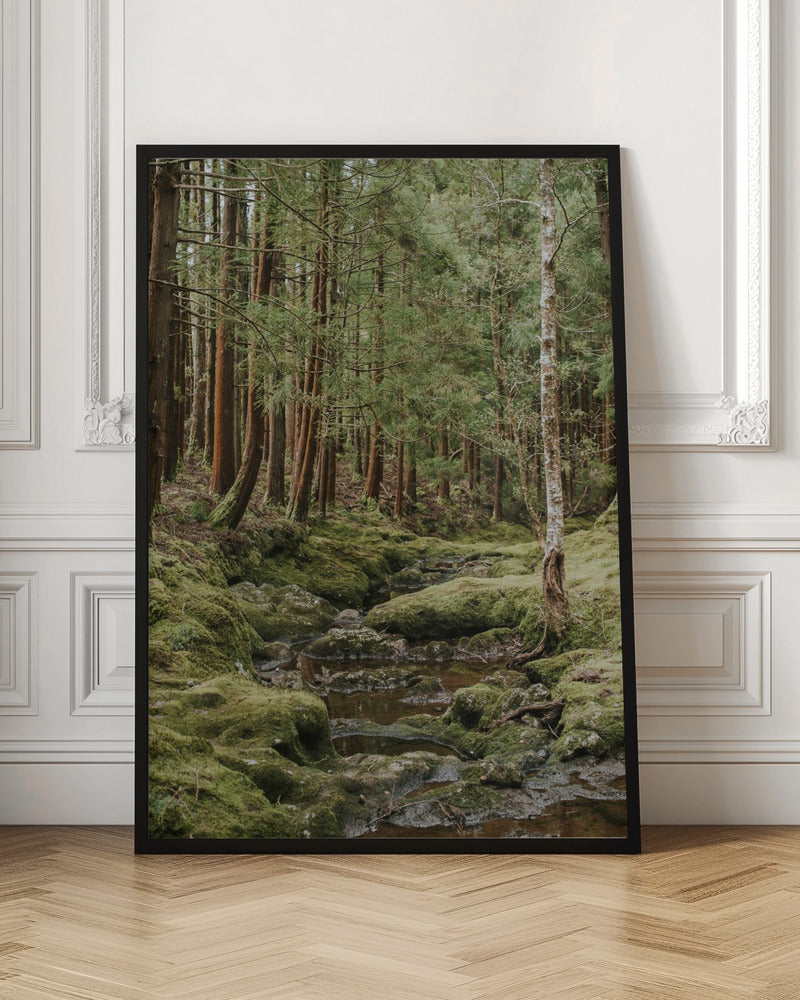 Green Forest Poster