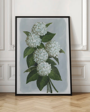 Bluma hydrangea bouquet Poster