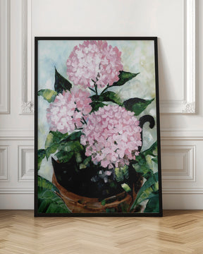 Potted pink hydrangeas Poster