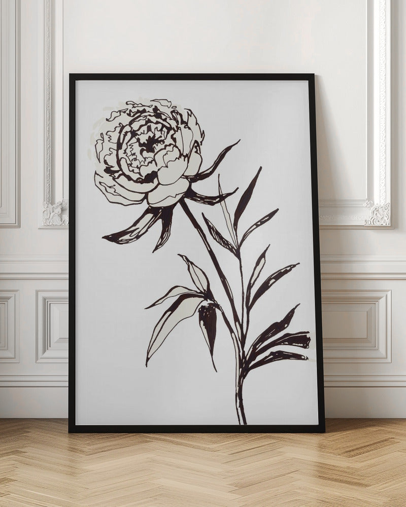 Loose peony ink sketch Poster