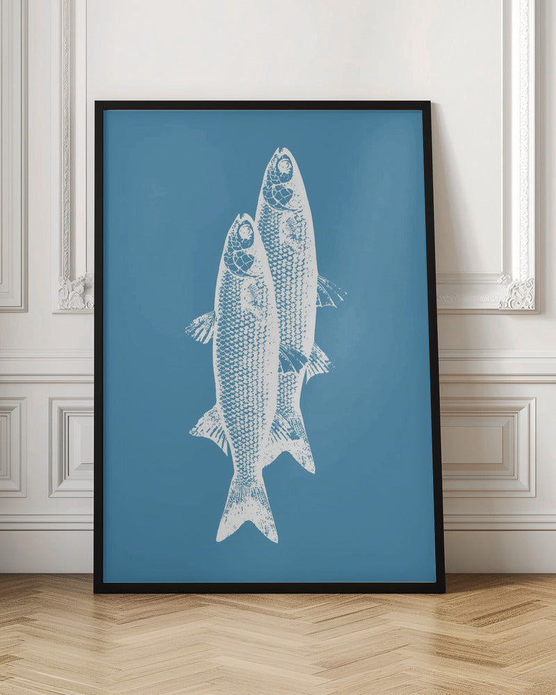 Pescados Poster