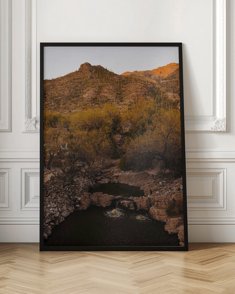 Ventana Canyon Poster