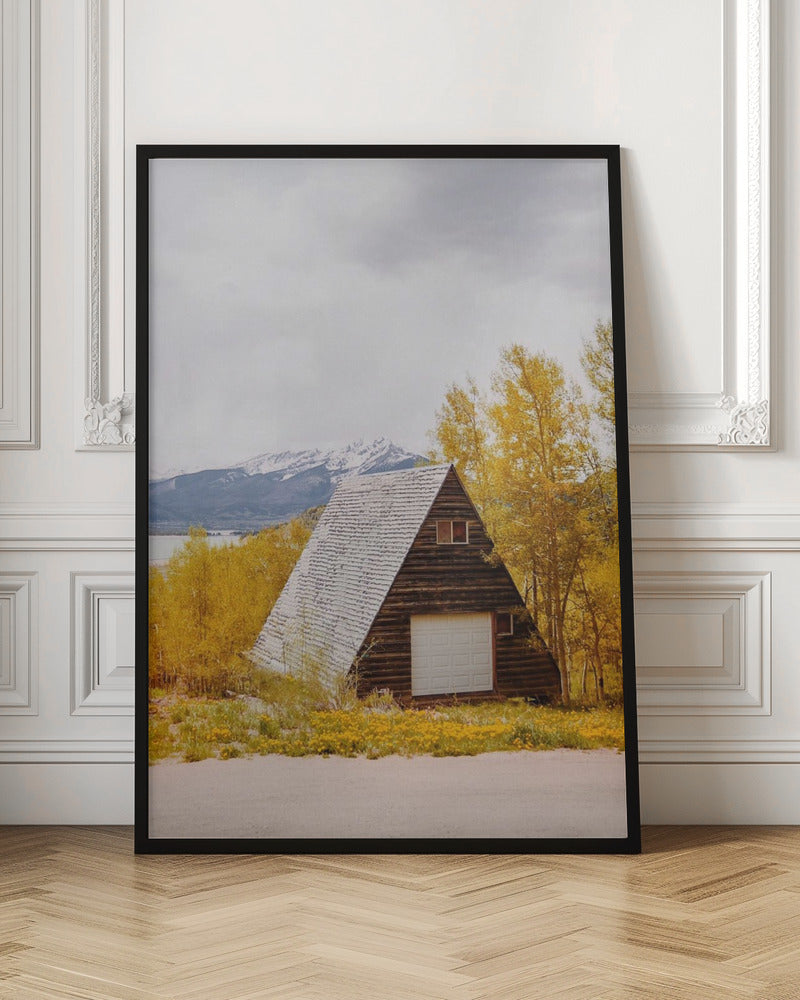 Colorado Cabin Poster