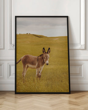 Yes, Donkey Poster