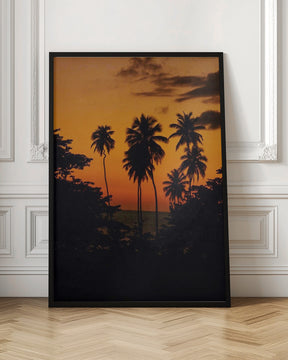 Squiggly Palm Sunset Poster