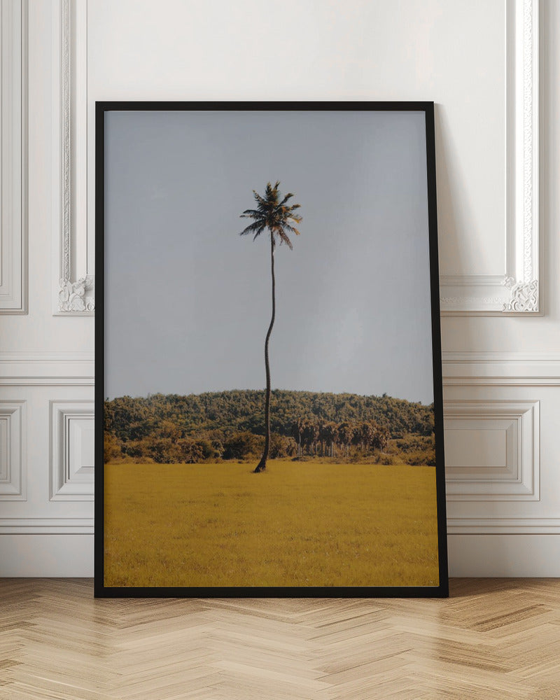 Puerto Rican Palm Tree Poster