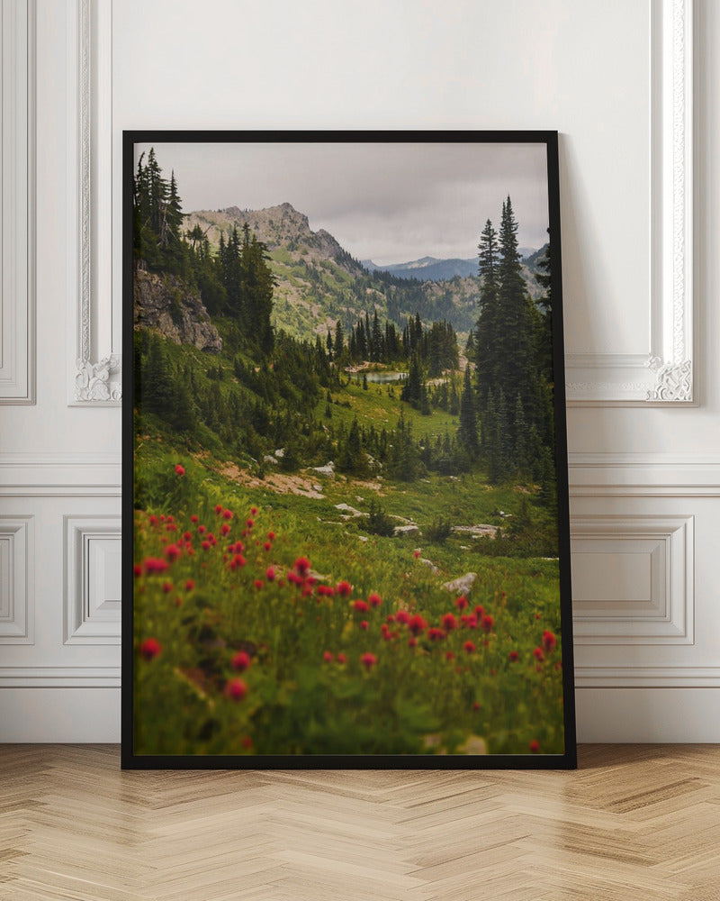 Mount Rainier Paintbrush Poster