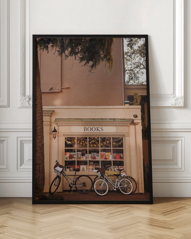 Books &amp; Bicycles Poster