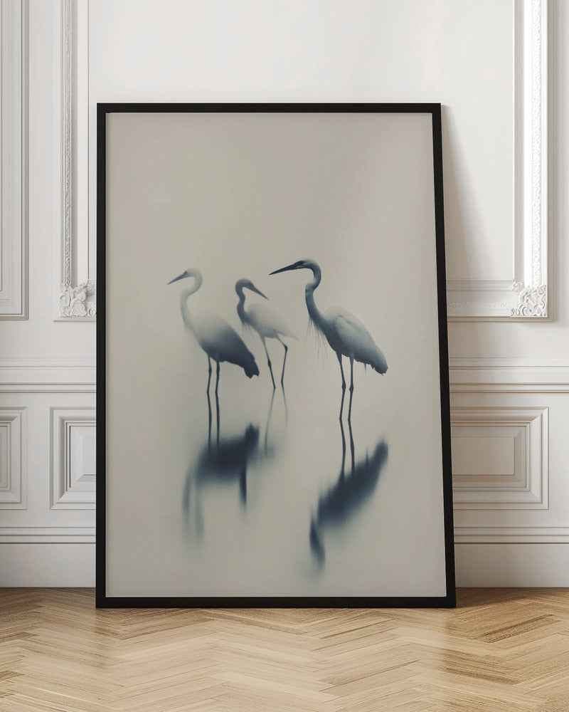 Birds In Lake Poster
