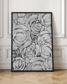 Peonies Poster