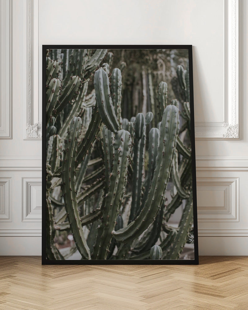 Desert Cactus Poster