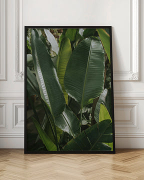 Banana Leaves Poster