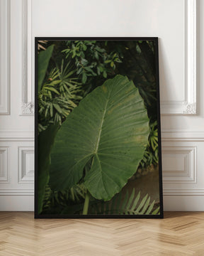 One Leaf Poster