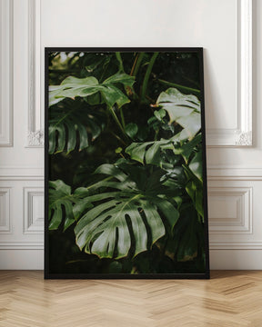 Monstera Leaves Poster