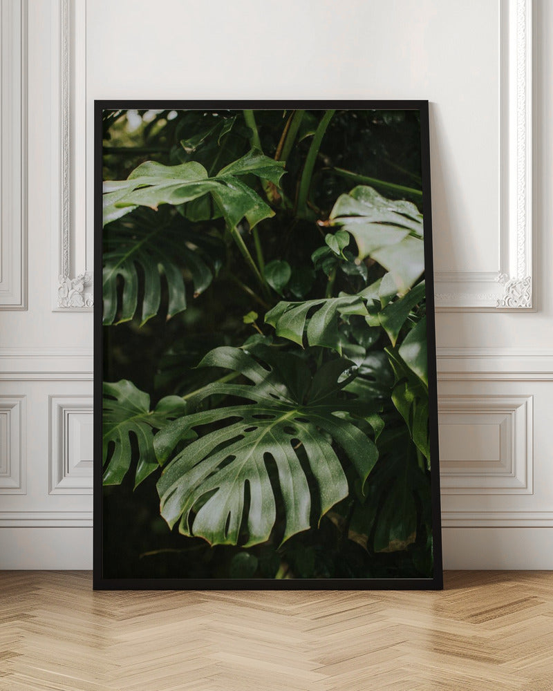 Monstera Leaves Poster