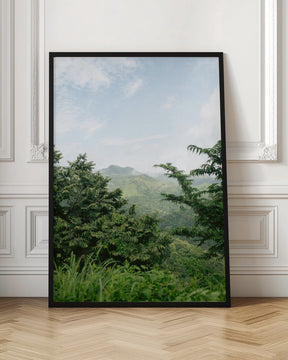 Greens of Monteverde Costa Rica Poster