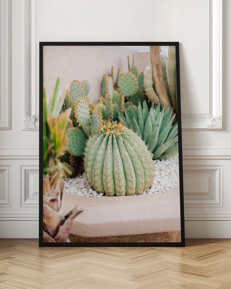 Cactus Love | Marrakech Travel Photography Poster