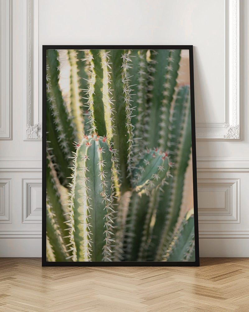 Gold &amp; Green Cacti Marrakech Poster