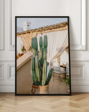 Rooftop Cactus | Morocco Travel Photography Poster