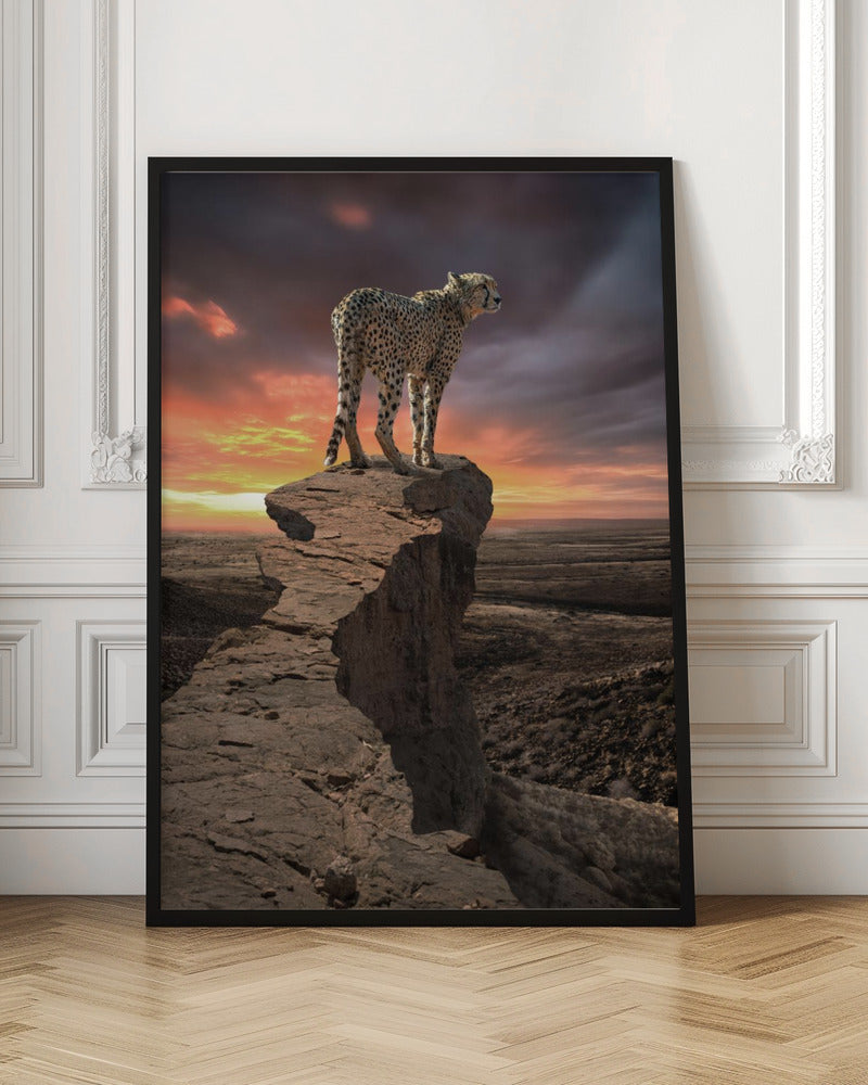 CheetahPeek Poster