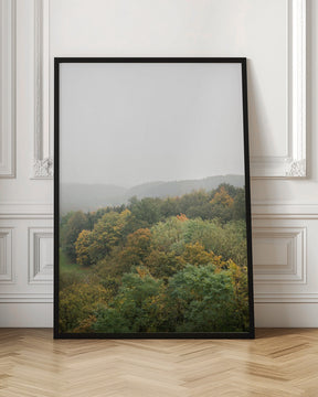 Autumn Forest Canopy | Serene Landscape Photography Poster