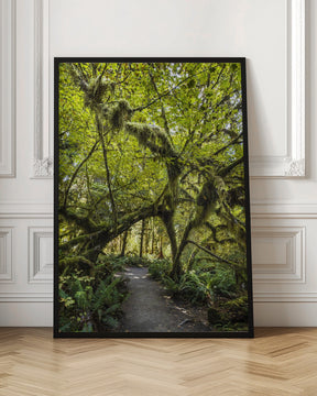 Path trough the amazing Hoh Rainforest, Olympic National Park Poster