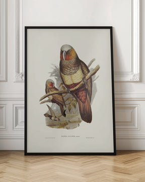 Prince of Essling&#039;s Parrot Poster