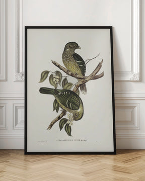 Cat Bird Poster