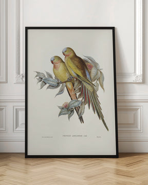 The Princess of Wales&#039;s Parakeet Poster