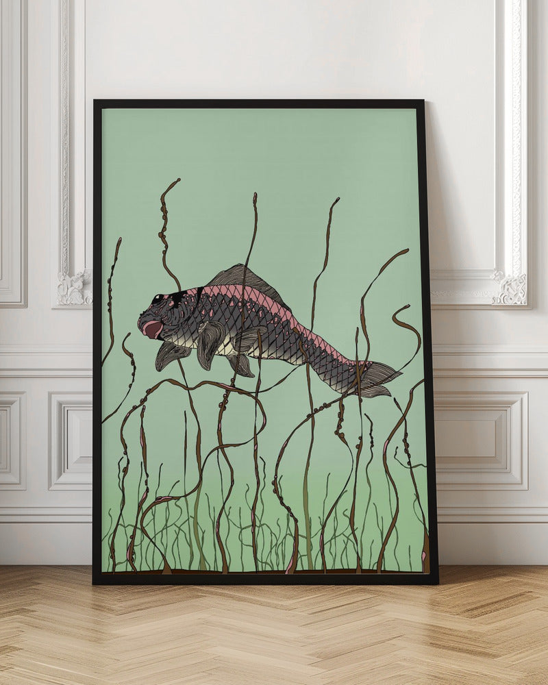 Fish Poster