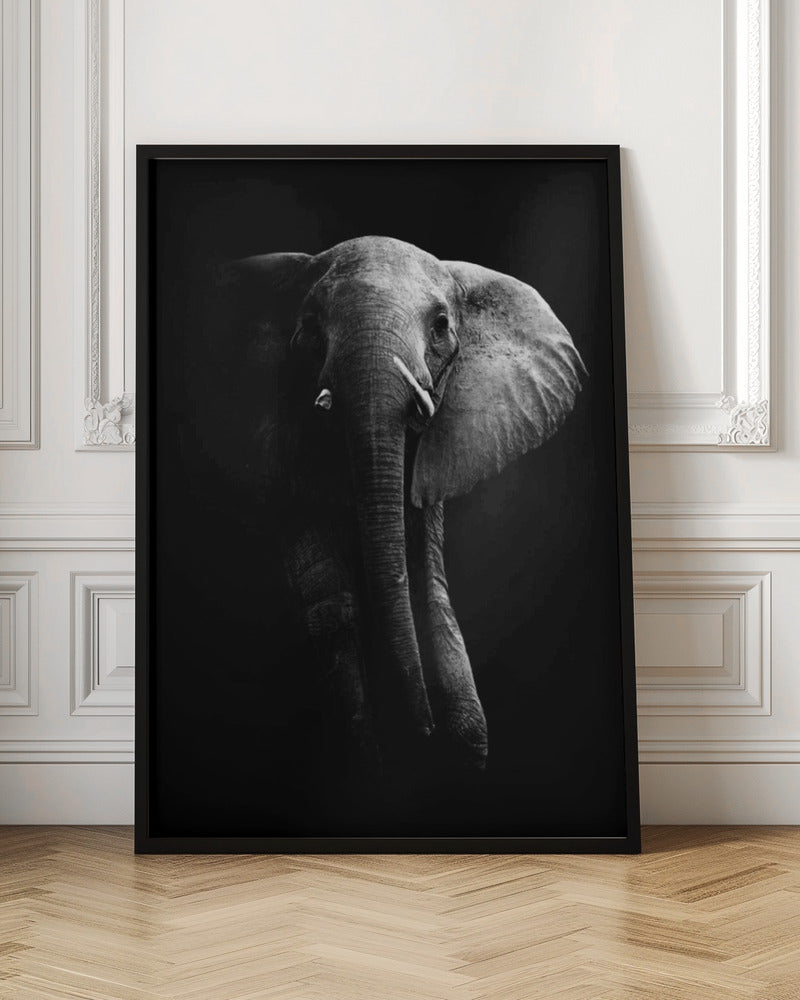 Elephant! Poster