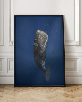 Candle sperm whale Poster